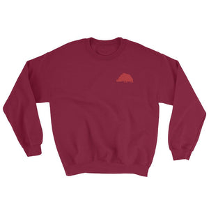 Shirt - Texan Boar - Sweatshirt