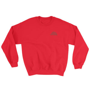 Shirt - Texan Boar - Sweatshirt